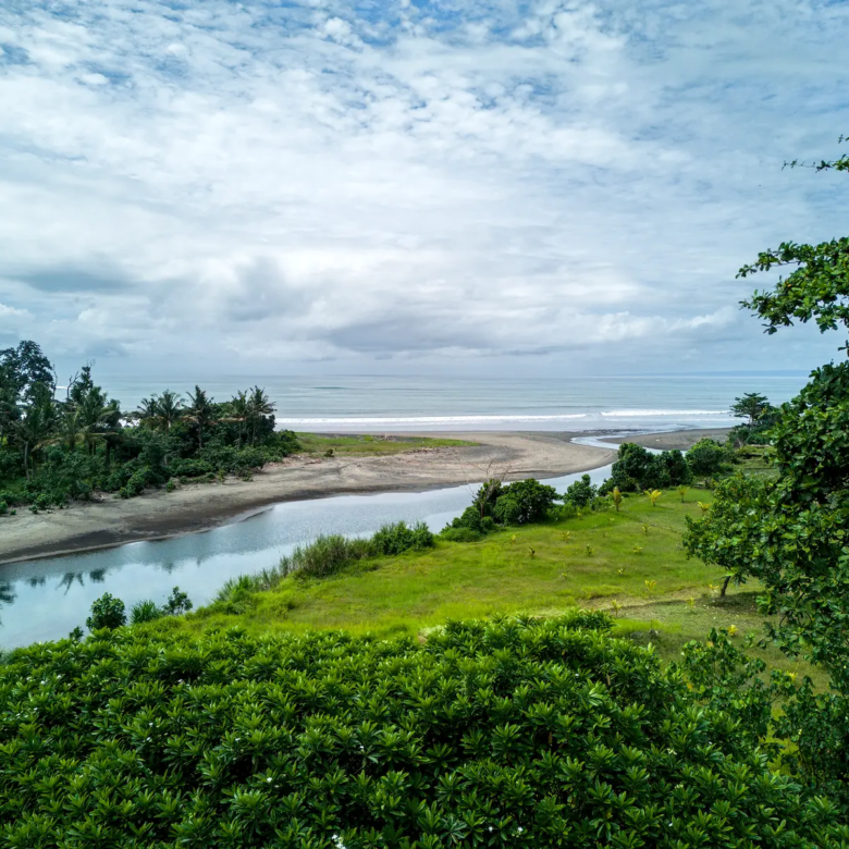 Scenic river and ocean view from Pulukan Bali land overlooking greenery and natural landscape.
