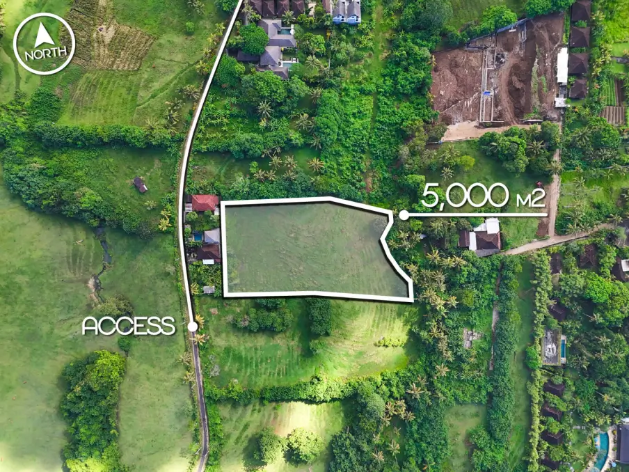 balian 2-1 Top-down map view of 5,000m² freehold land in Mejan Bali with private road access, located just 2 minutes from the beach