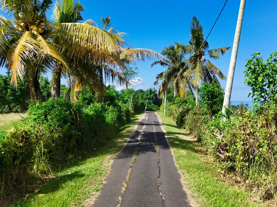 balian 2-6 Access road leading to 5,000m² Mejan Beach land for sale, lined with coconut trees and ocean views in the distance