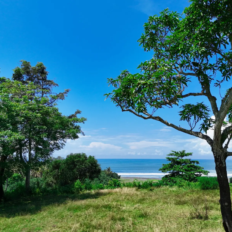 Ocean-view land in Pulukan Bali with elevated grassy terrain and tropical trees overlooking the beach.