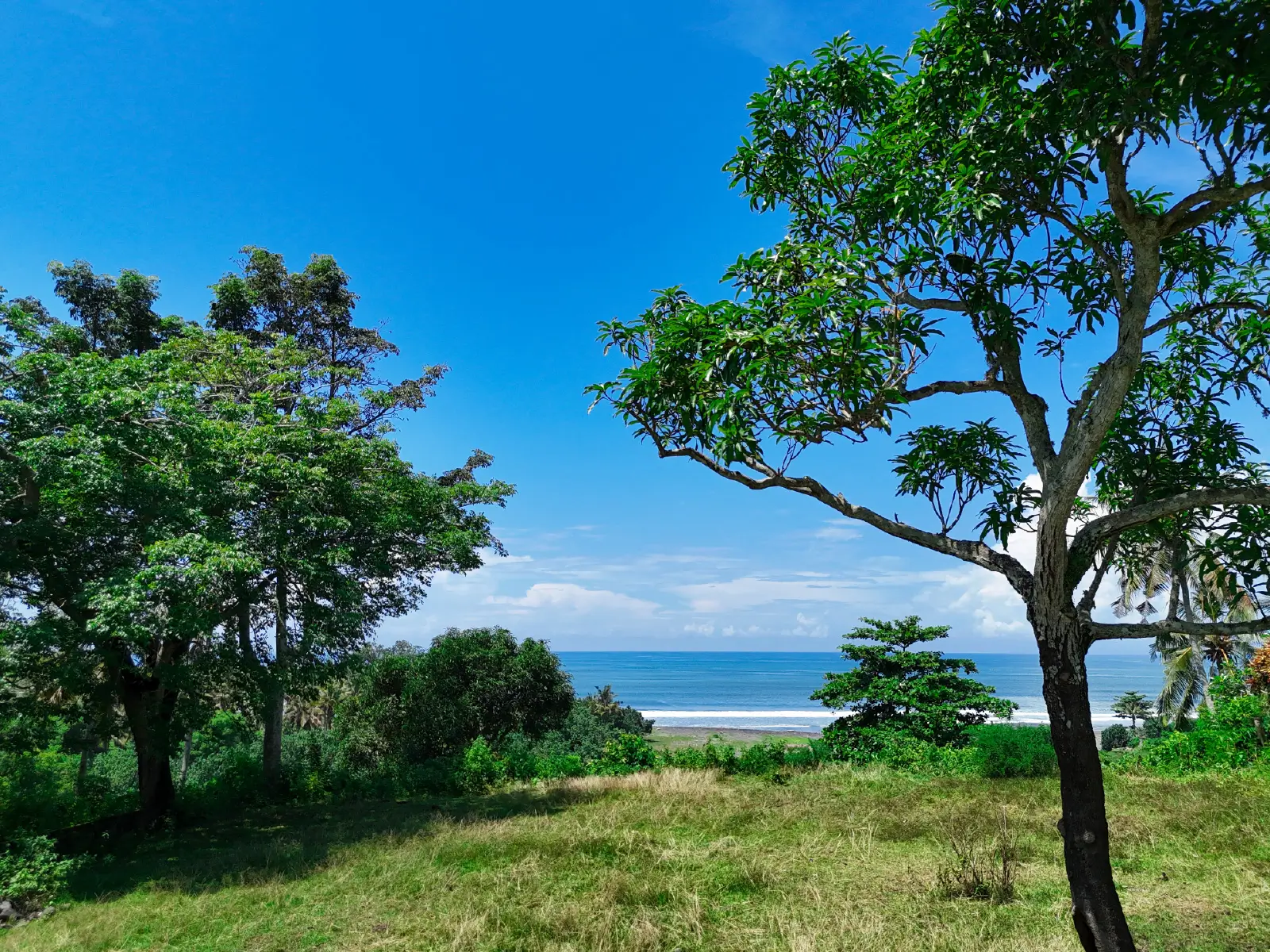 pulukan 3-00002 Ocean-view land in Pulukan Bali with elevated grassy terrain and tropical trees overlooking the beach.