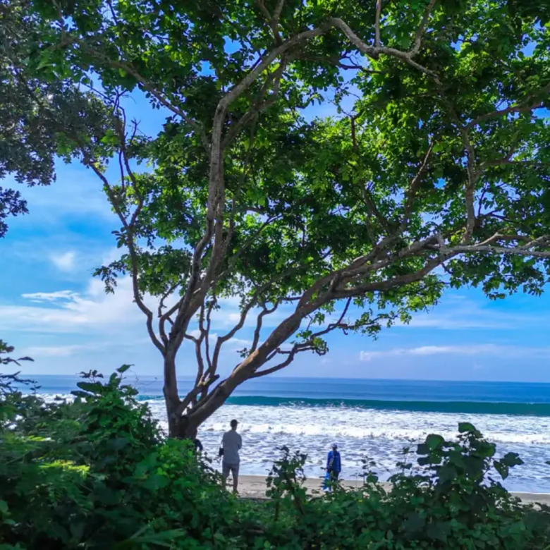 Ground-level view of a quiet beachfront area in West Bali with lush green trees overlooking ocean waves and clear blue sky