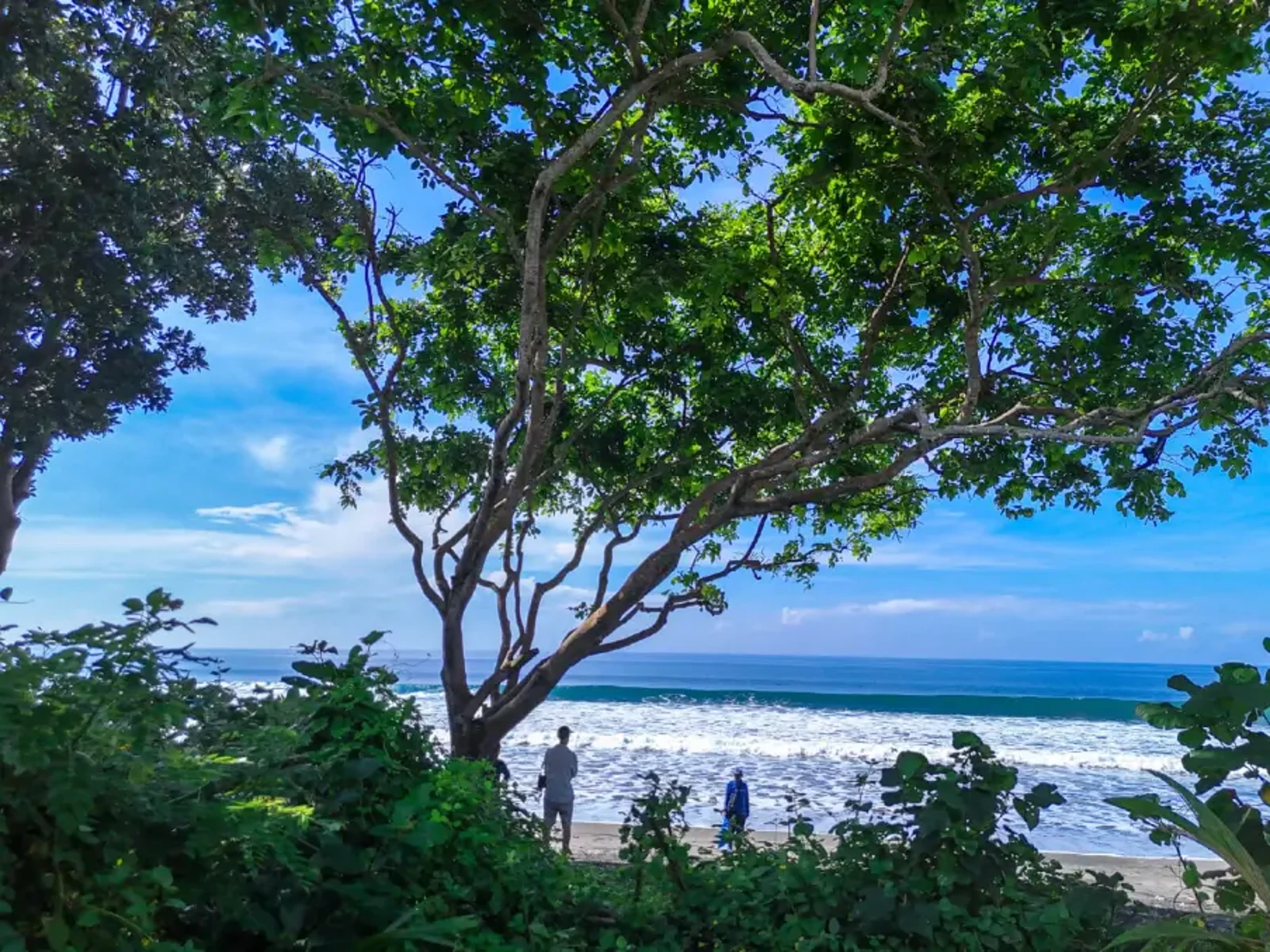 Ground-level view of a quiet beachfront area in West Bali with lush green trees overlooking ocean waves and clear blue sky