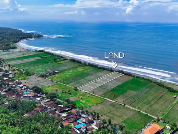 Aerial view of a 7,270 m² beachfront land plot for sale in West Bali, surrounded by rice fields and overlooking long ocean waves