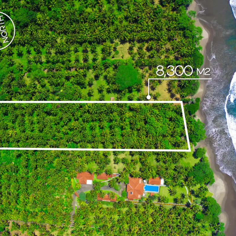 Top-down drone image of an 8,300 m² oceanfront land plot in West Bali, featuring dense coconut trees, long rectangular shape, and direct beach access.