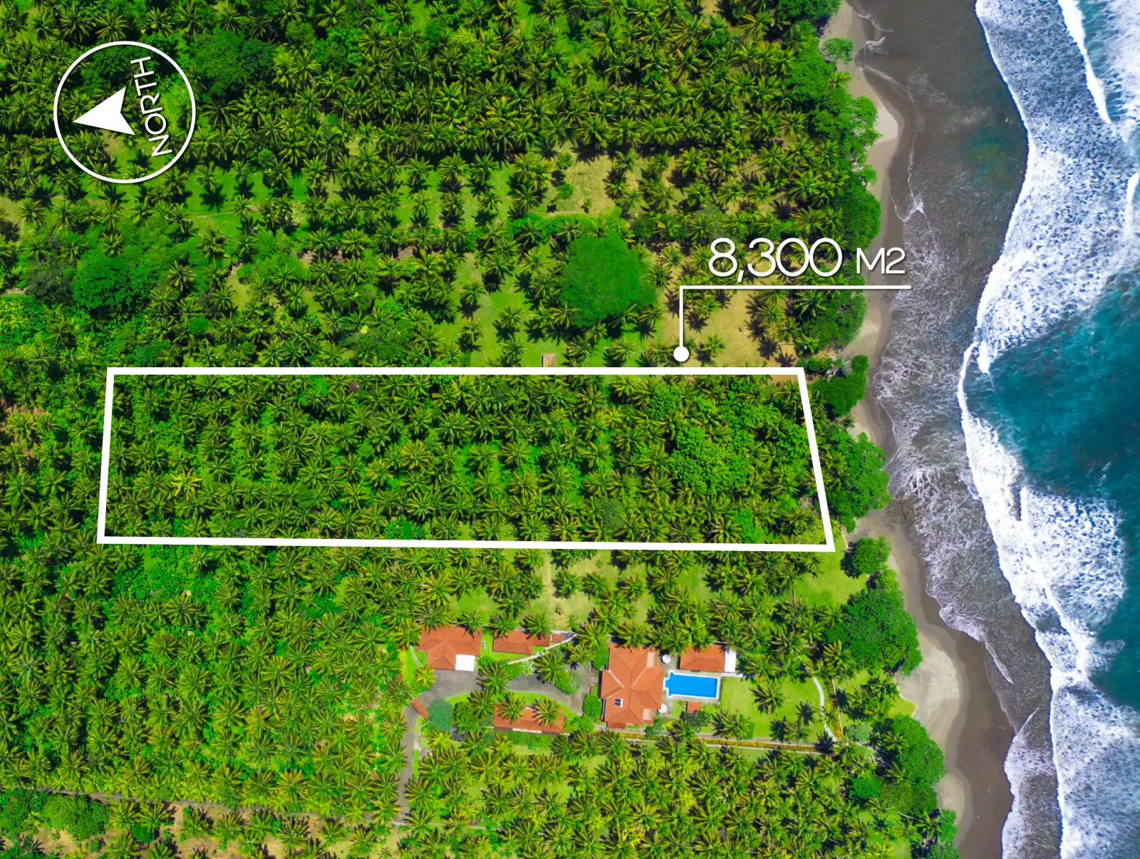 perkutatan 1-00002 Top-down drone image of an 8,300 m² oceanfront land plot in West Bali, featuring dense coconut trees, long rectangular shape, and direct beach access.