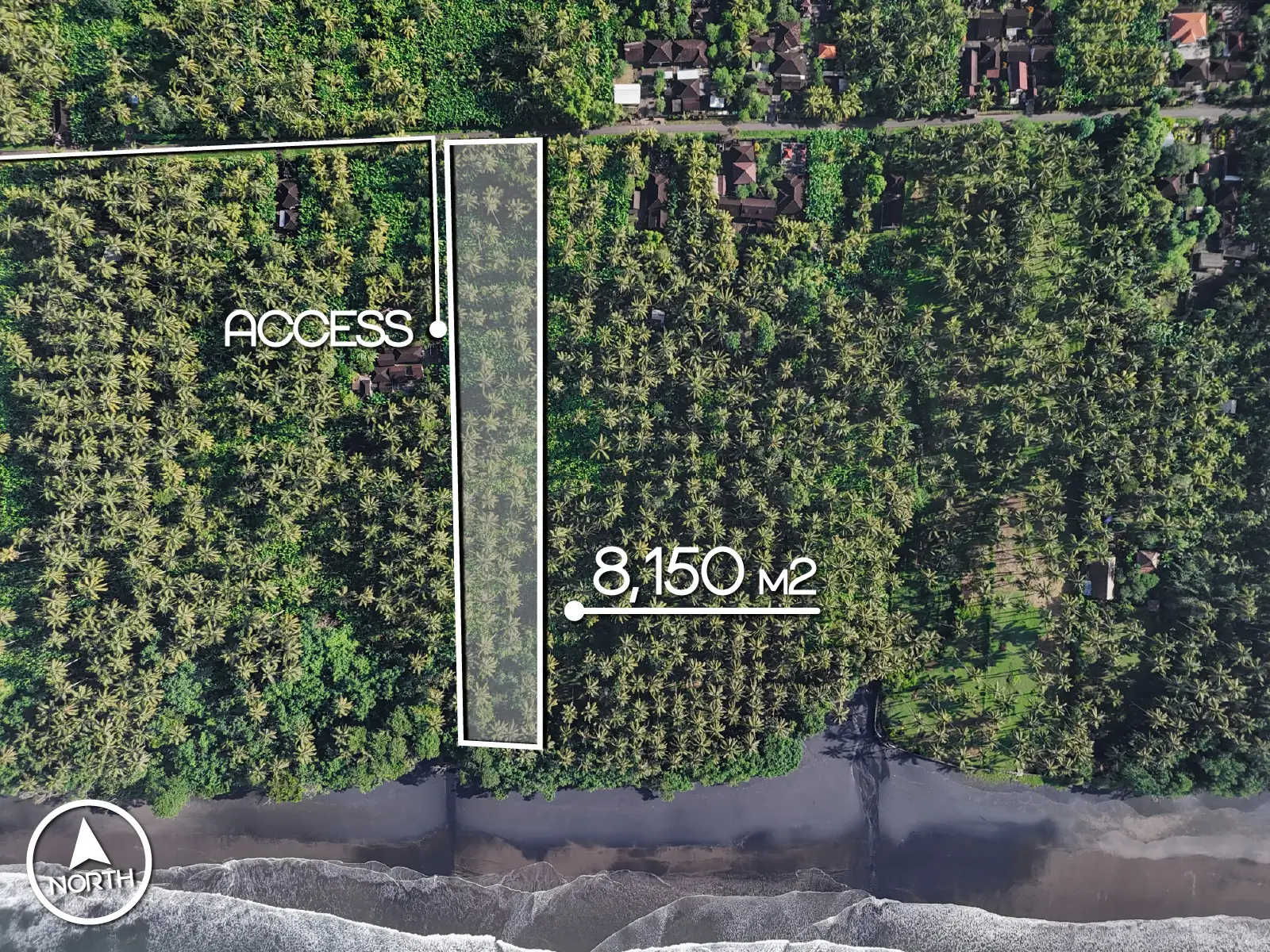 Top-down drone image of an 8,150 m² beachfront land plot in Pekutatan, West Bali, showing long rectangular shape, coconut plantation, private access, and ocean frontage.