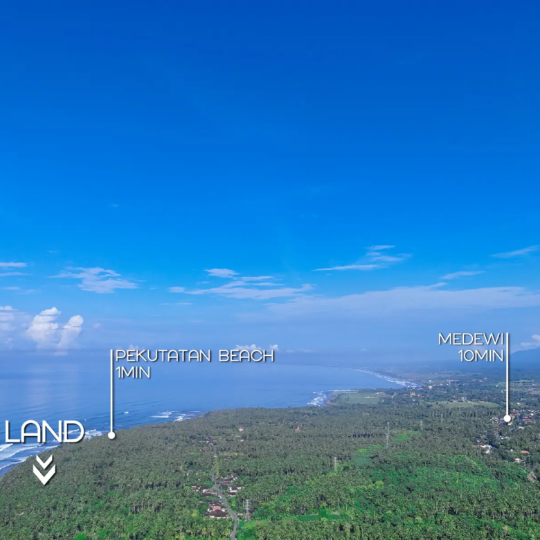 Aerial panorama of Pekutatan beachfront land for sale, located 1 minute from Pekutatan Beach and 10 minutes from Medewi surf point, overlooking lush coconut groves and the Bali coastline.