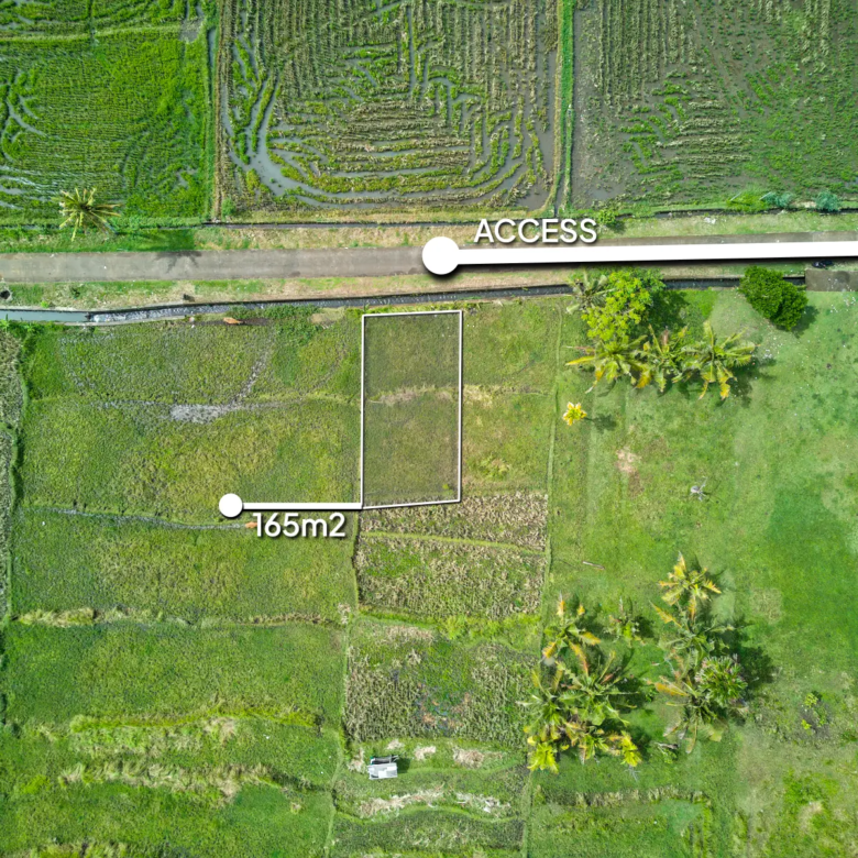 Top-down drone image of a 165m² land plot in West Bali, showing clear boundaries and private access road, located in a peaceful rice field environment.