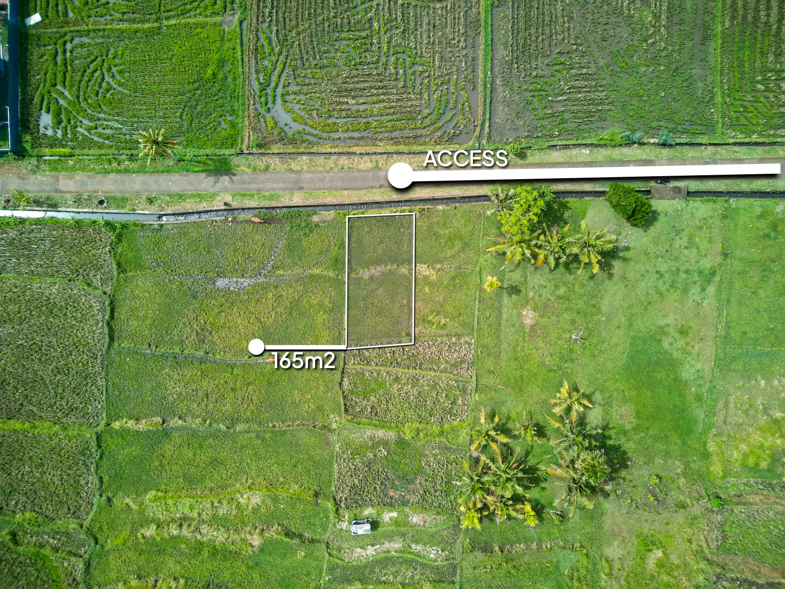 Top-down drone image of a 165m² land plot in West Bali, showing clear boundaries and private access road, located in a peaceful rice field environment.