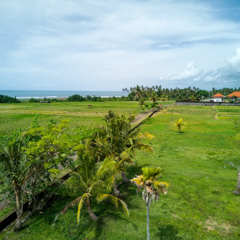 Ground-level view of West Bali land for sale with surrounding rice fields, coconut trees, distant ocean horizon, and nearby village facilities.
