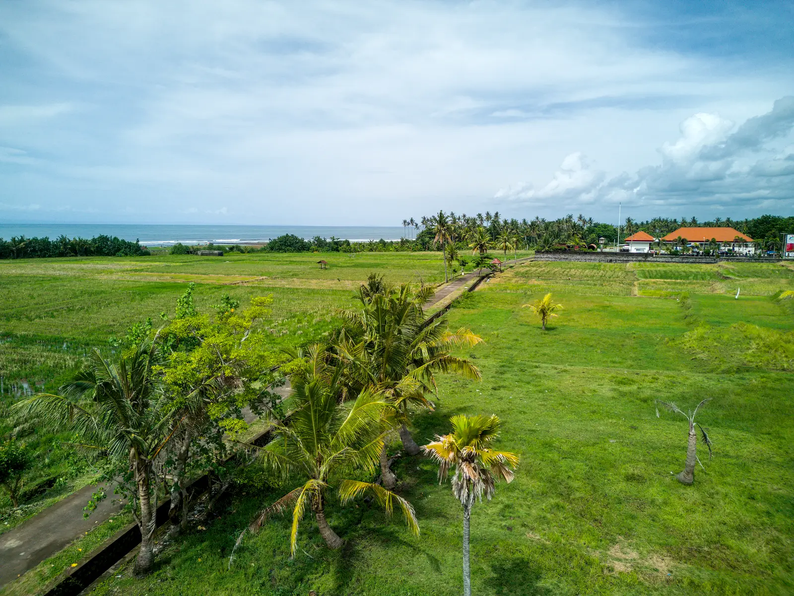 Ground-level view of West Bali land for sale with surrounding rice fields, coconut trees, distant ocean horizon, and nearby village facilities.