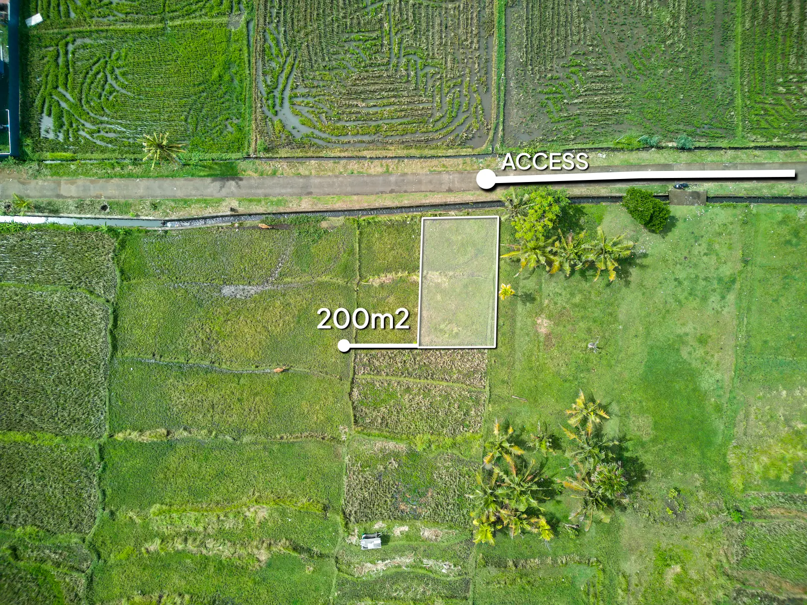 pulukan 11-00001 Top-down drone view of a 200m² land plot in West Bali showing clear boundary lines and private access road, ideal for villa development or investment.