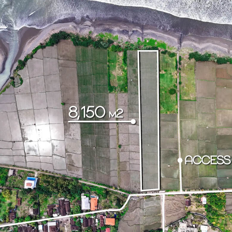 Top-down drone image of an 8,150 m² oceanfront land plot in Pulukan, West Bali, showing long rectangular shape, private road access, and direct beach frontage.