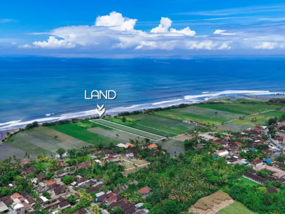 Aerial view of 8,150 m² beachfront land for sale in Pulukan, West Bali, directly facing the ocean and surrounded by rice fields and coastal villages.