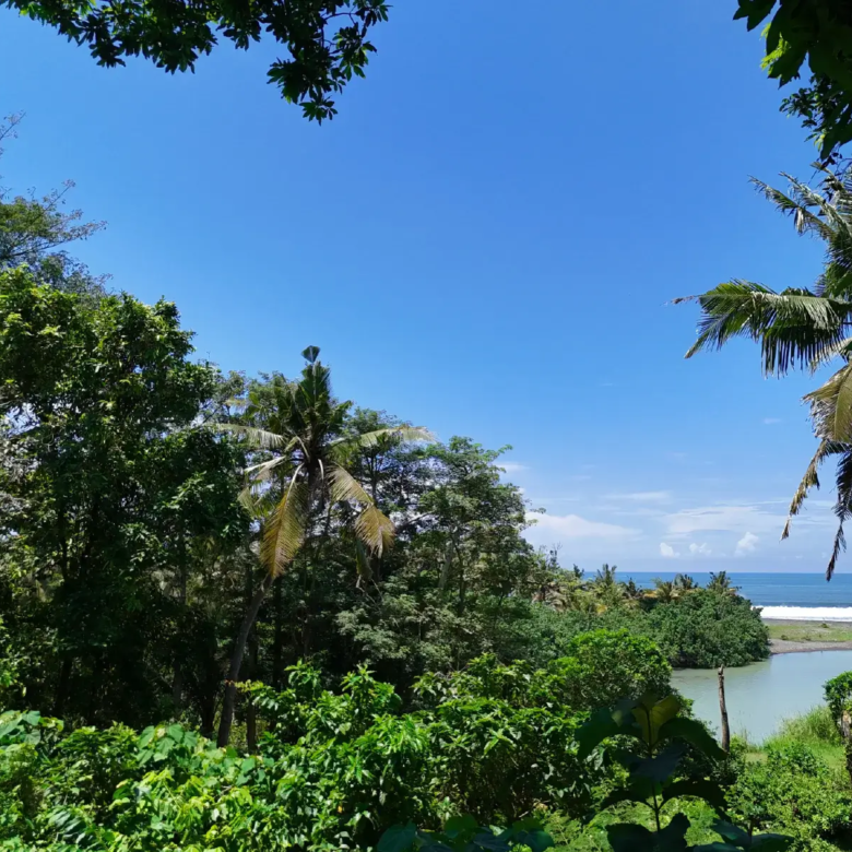 Ground-level view from a riverfront land plot in West Bali, overlooking dense tropical trees, clear blue sky, and the ocean in the distance