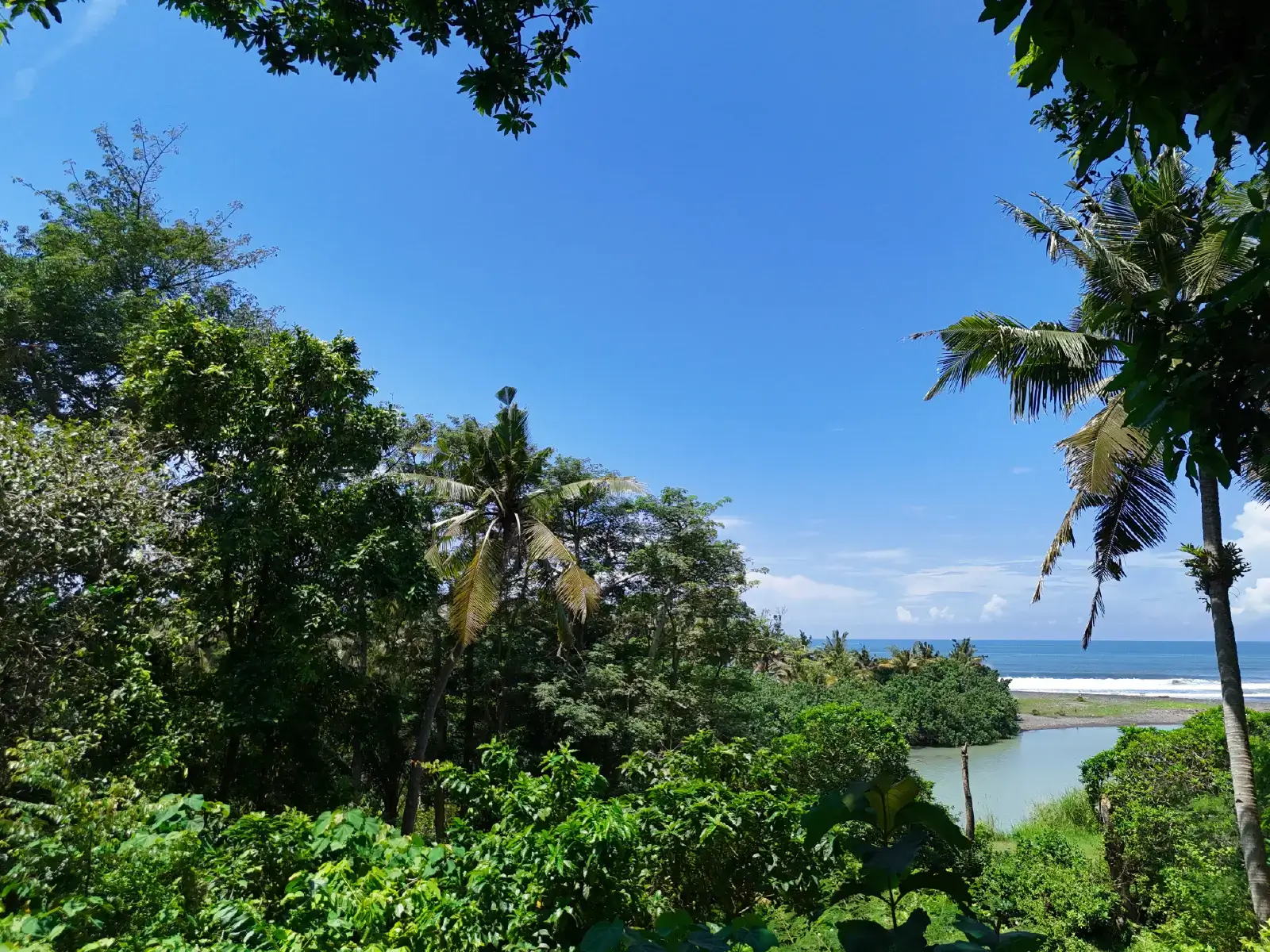 Ground-level view from a riverfront land plot in West Bali, overlooking dense tropical trees, clear blue sky, and the ocean in the distance