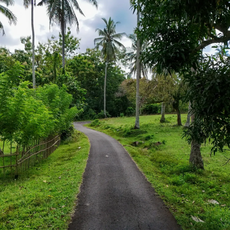 Quiet paved access road surrounded by green tropical landscape and coconut trees leading to land for sale in West Bali