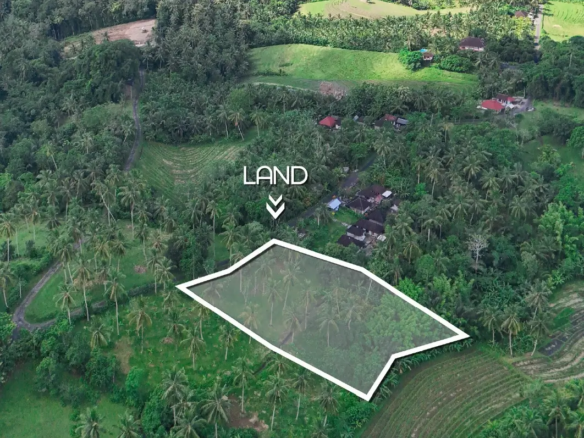 Image of the land plot for sale in West Bali with boundary outline, surrounded by coconut trees and rice terraces