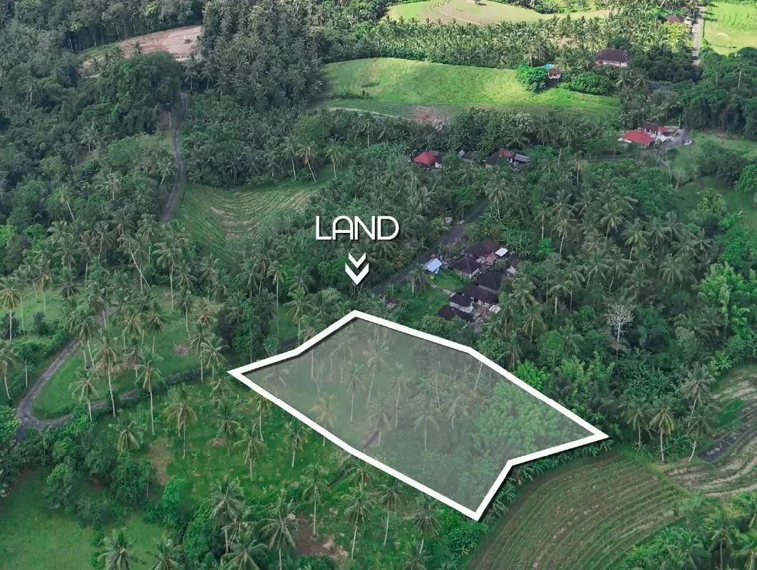 Image of the land plot for sale in West Bali with boundary outline, surrounded by coconut trees and rice terraces