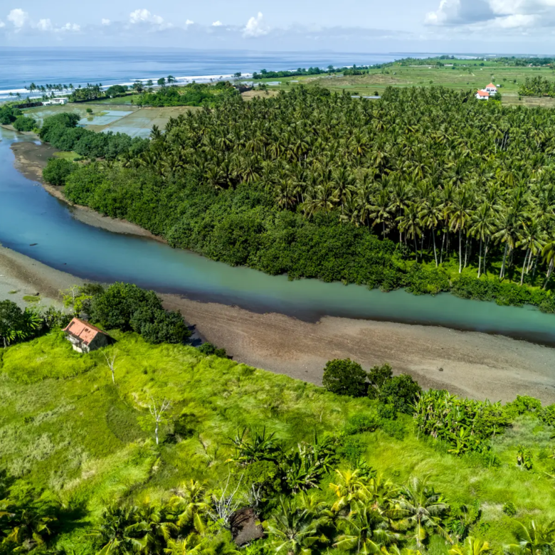 Aerial landscape of a blue river flowing along coconut forests and rice fields near the coastline in West Bali.
