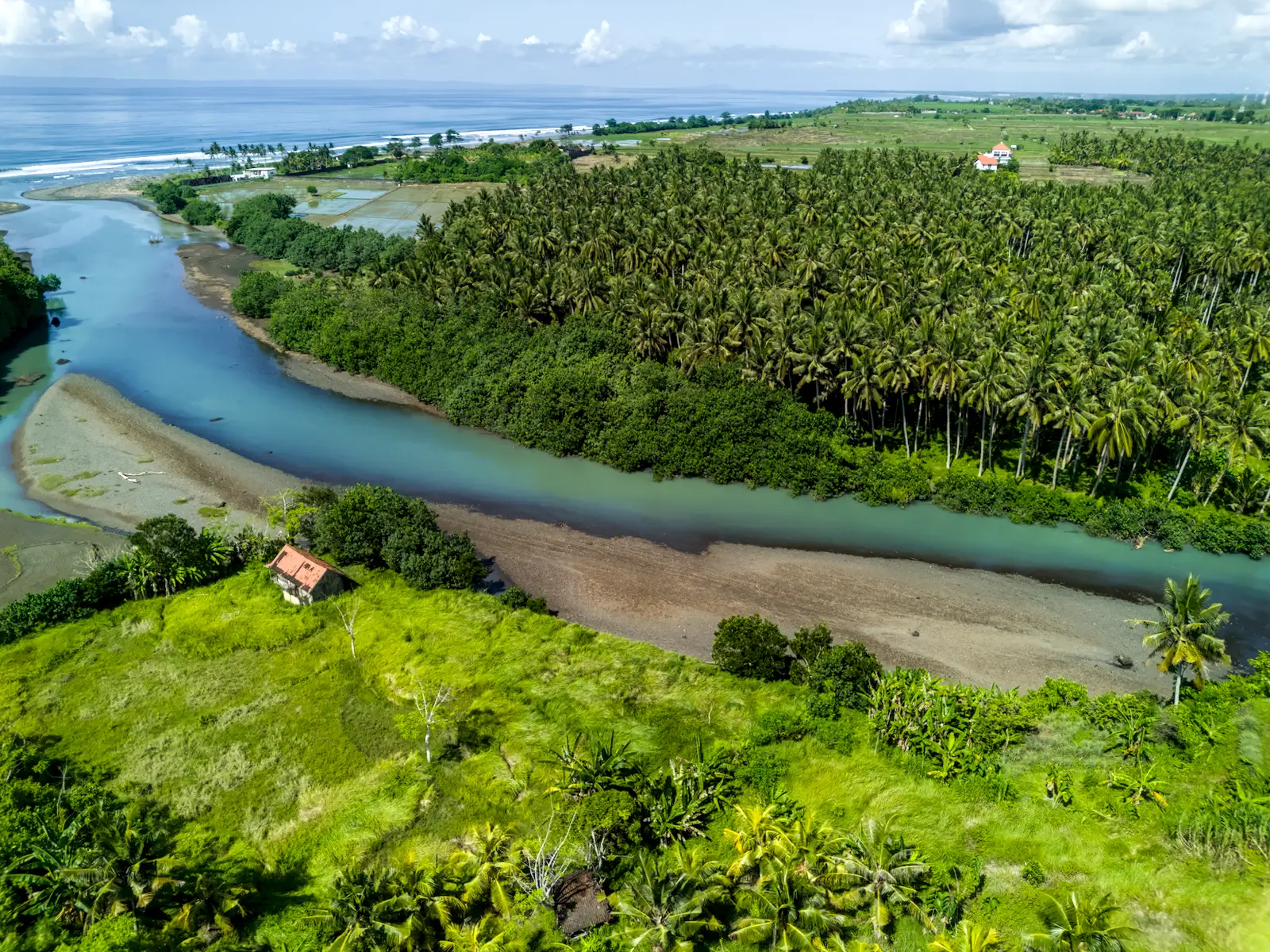 Aerial landscape of a blue river flowing along coconut forests and rice fields near the coastline in West Bali.
