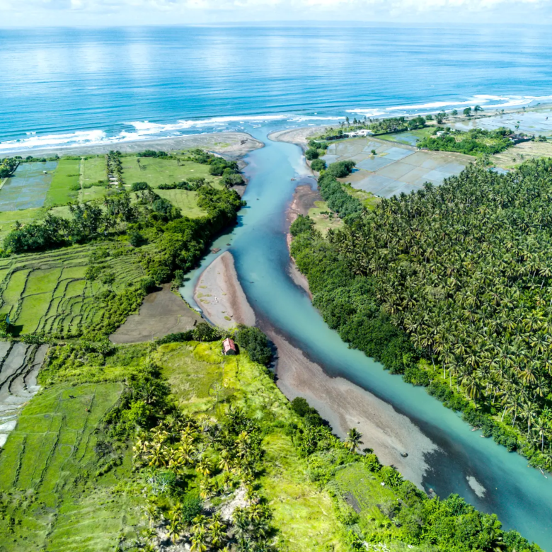 Wide aerial view of West Bali showing a river estuary meeting the ocean, surrounded by green rice terraces and tropical vegetation