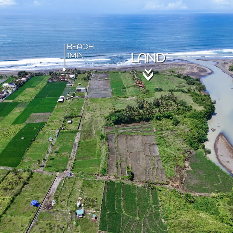 Aerial view of West Bali showing a 1-minute-to-beach land location, surrounded by rice fields, coconut trees, and a scenic river estuary