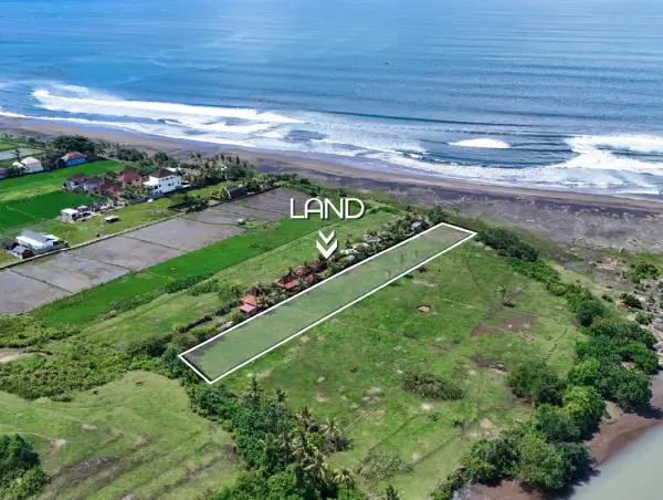 Aerial view of a 3,600 m² beachfront land plot for sale in West Bali, outlined along the coastline with waves and rice fields surrounding the property