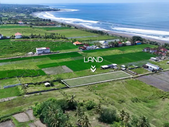 Aerial view of a 1,700 m² land plot for sale in West Bali, located near the beach and surrounded by green rice fields with ocean views