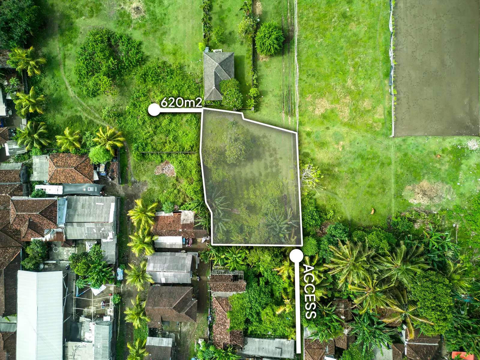 yehsumbul 6-00001 Top-down drone image highlighting a 620 m² land plot in West Bali with marked boundaries, private access, and lush vegetation