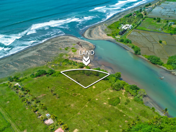 Top-down drone image of a 1,534 m² riverfront land plot in West Bali, showing curved beachfront boundary, private access road, and turquoise river frontage.